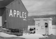 Southern Vermont Orchards, Pownal