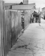Inspecting the sidewalk on Main St.