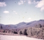 Forested Landscape 