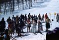 Costumed Skiers