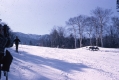 Ski Trail