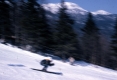 Ski Racer