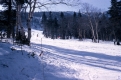 Ski Race 