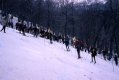 Ski Race 