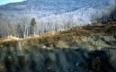 Cleared Land