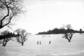 Skiers Near Wilmington Ski Tow