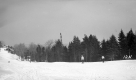 Section of Ski Trail