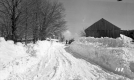 Snowy Road
