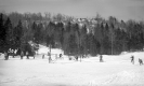 Section of Ski Trail at Hogback Mountain