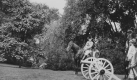 Sesquicentennial Pageant