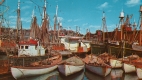 Fishing Boats in Port