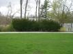 House obscured from view by shrubs