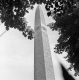 Battle Monument through Trees