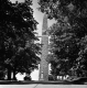 A View of the Battle Monument