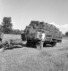Worker Loads Hay Cart