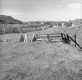 A Fence on Hilly Farmland