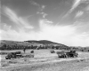 Trucks Gather Hay at Fillmore Farm