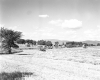 Feeding Cattle at Fillmore Farms