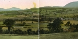 Green landscape