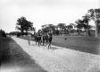 Tandem Cart