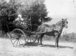 Frederica Webb in tub cart