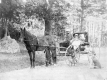 Three Webbs in a Buggy