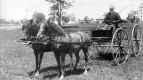 Charles Welch driving ponies