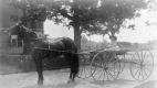 Frederica V. Webb