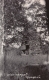 Stone Chimney, Reading