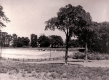 Farmland
