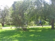 Dutton House