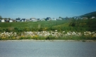 Hunting Ridge Development