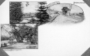 Scenes of Springfield