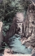 The Flume