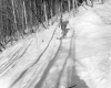 View of Ski Racer