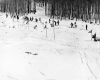 Group of Ski Racers