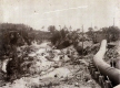 Construction of the International Pulp Mill