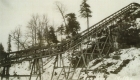 Conveyor Apparatus