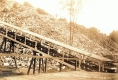 Wood Pile