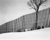 Snow Fences