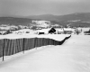Snow Fences