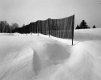 Snow Fences