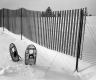 Snow Fences
