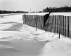 Snow Fences