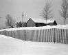 Snow Fences