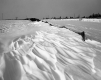 Snow Fences