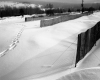 Snow Fences