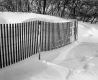 Snow Fences