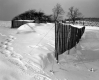 Snow Fences