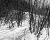 Everest H. and Katherie E. Wyman Property